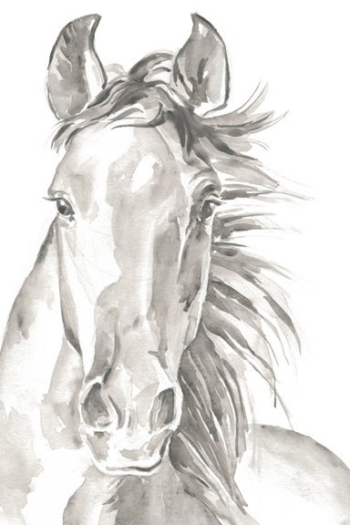 Watercolour Horse Variante 1 | 13x18 cm | Premium-Papier