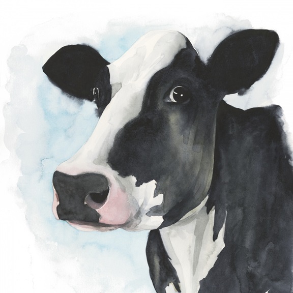 Cow Close-Up No. 1 Variante 1 | 40x40 cm | Premium-Papier