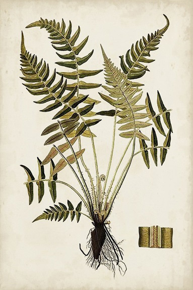 Botanical Samples No. 3 Variante 1 | 13x18 cm | Premium-Papier