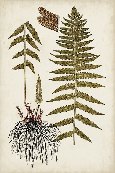 Botanical Samples No. 4 