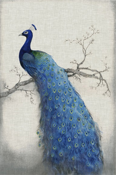 Peacock No. 2 
