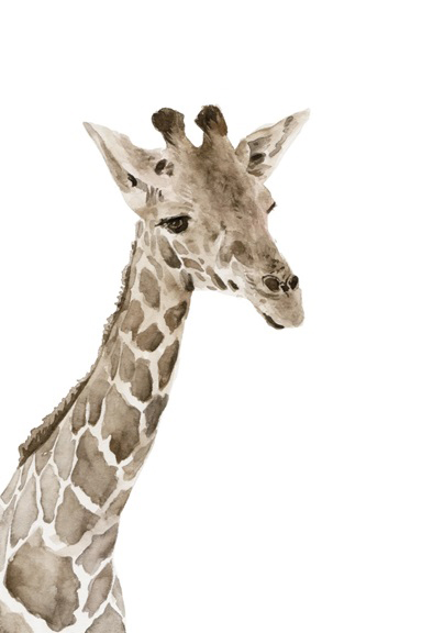 Animal Babies No. 2 - Giraffe Variante 1 | 13x18 cm | Premium-Papier
