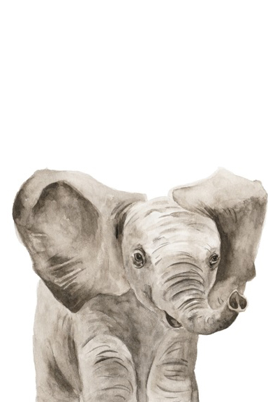 Animal Babies No. 3 - Elephant 