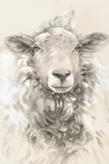 Woolly Portrait Variante 1 | 60x90 cm | Premium-Papier