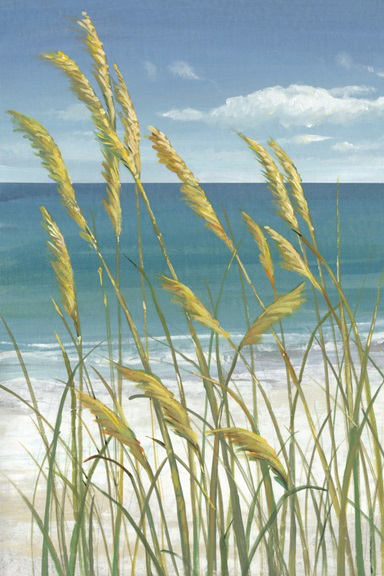 Dune Grass 