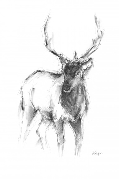Animal Sketch No. 2 Variante 1 | 13x18 cm | Premium-Papier