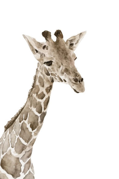 Little zoo Giraffe Variante 1 | 13x18 cm | Premium-Papier