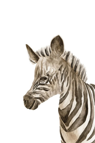 Little zoo Zebra Variante 1 | 13x18 cm | Premium-Papier