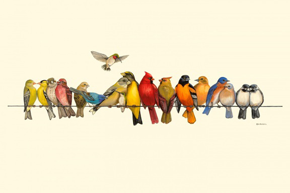 Birds on a Line No. 1 Variante 1 | 13x18 cm | Premium-Papier