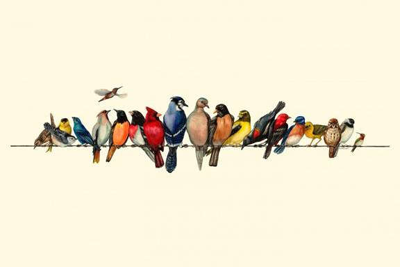 Birds on a Line No. 3 Variante 1 | 13x18 cm | Premium-Papier