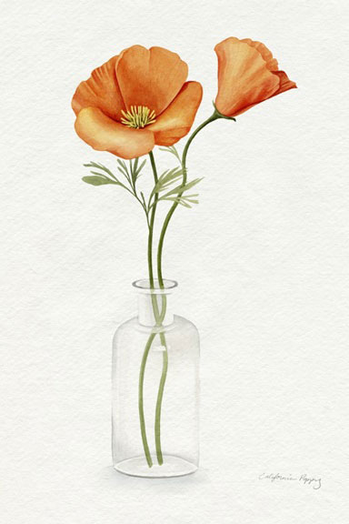 Poppy Vase Variante 1 | 13x18 cm | Premium-Papier