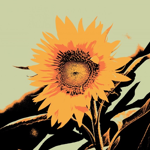 Sunflower Effect No. 1 