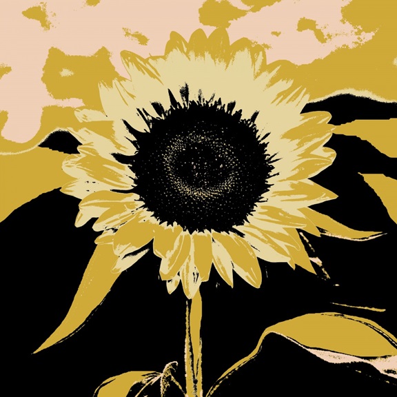 Sunflower Effect No. 3 Variante 1 | 40x40 cm | Premium-Papier
