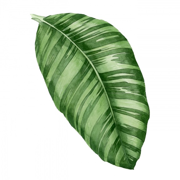 Emerald Leaves No. 1 Variante 1 | 40x40 cm | Premium-Papier