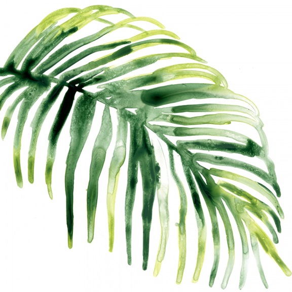 Tropical Leaf Collection No. 6 