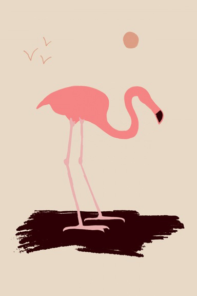 Flamingo Sketch 