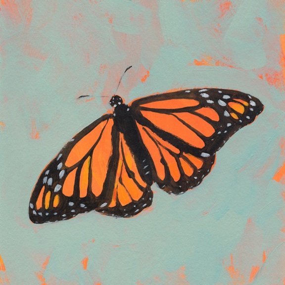 Monarch Butterfly Variante 1 | 40x40 cm | Premium-Papier
