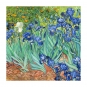 Vincent van Gogh - Irises Variante 1