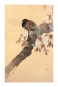 Ohara Koson - Pheasant on cherry blossom branch Variante 3