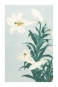 Ohara Koson - Lilies Variante 3