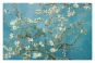 Vincent van Gogh - Almond Blossom Variante 3