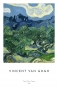 Vincent van Gogh - The Olive Trees Variante 1
