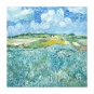 Vincent van Gogh - Plain at Auvers with Rain Clouds Variante 1