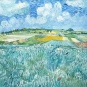 Vincent van Gogh - Plain at Auvers with Rain Clouds Variante 2