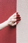 Red and White Hand Variante 1