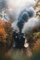 Steam Locomotive Variante 1