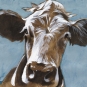 Cow Portrait No. 5 Variante 1