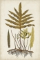 Botanical Samples No. 1 Variante 1
