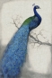 Peacock No. 1 Variante 1