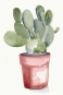 Potted Succulents No. 1 Variante 1