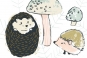 Hedgehogs & Mushrooms Variante 1