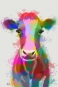 Rainbow Animals No. 2 - Cow Variante 1