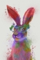 Rainbow Animals No. 10 - Rabbit Variante 1