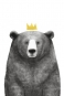 Royal Bear Variante 1