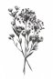 Charcoal Bouquet No. 1 Variante 1