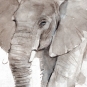 The elephant Variante 1