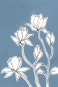 China Blue Flower Study No. 4 Variante 1