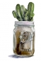 Cactus Jar No. 1 Variante 1