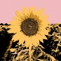 Sunflower Effect No. 2 Variante 1
