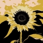 Sunflower Effect No. 3 Variante 1