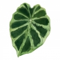 Emerald Leaves No. 3 Variante 1