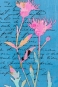 Floral Notes No. 1 Variante 1